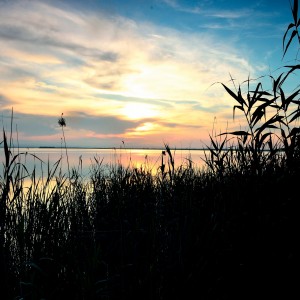 L'albufera de Valencia atardecer